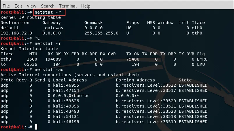 интерфейс команды netstat