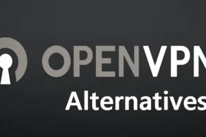 オンラインプライバシーを強化する OpenVPN の代替案トップ 8