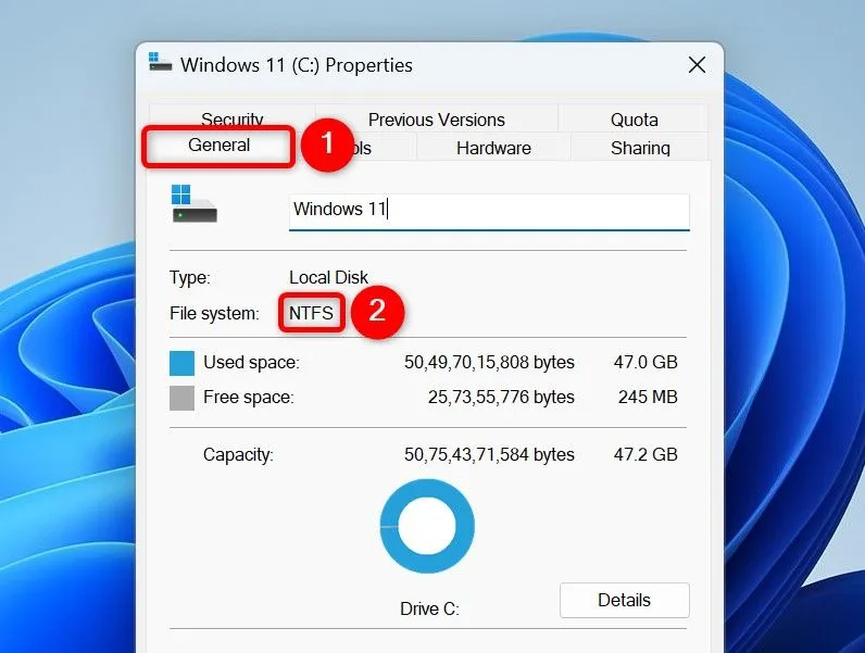 檢查 Windows 11 中的磁碟機檔案系統