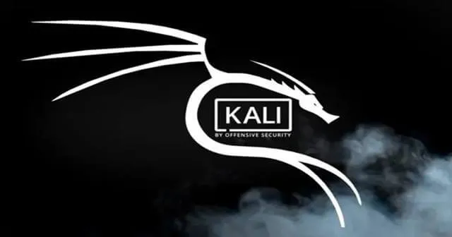 Kali Linux Nethunter интерфейс