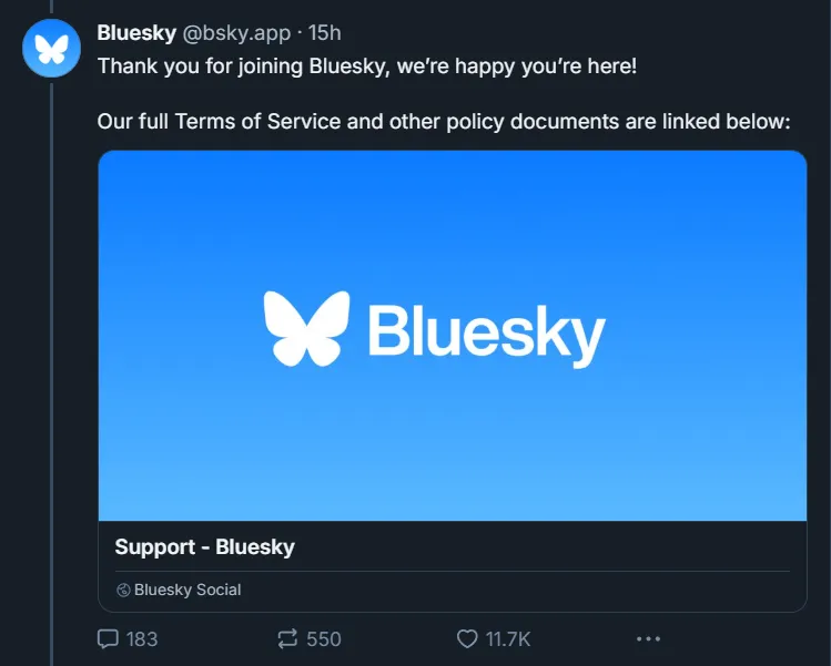 Bluesky Policy Documentation