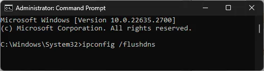 cmd_ipconfig/flushdns