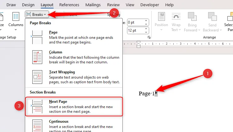 In Microsoft Word è selezionata l'opzione Interruzione di sezione della pagina successiva.