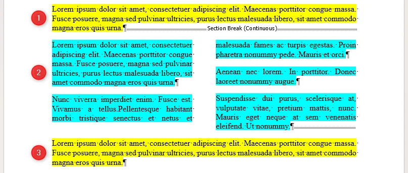 Tre sezioni di una pagina in un documento Word, con la sezione centrale divisa in due colonne.