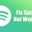 10 effektive Lösungen für Probleme mit dem Spotify Web Player